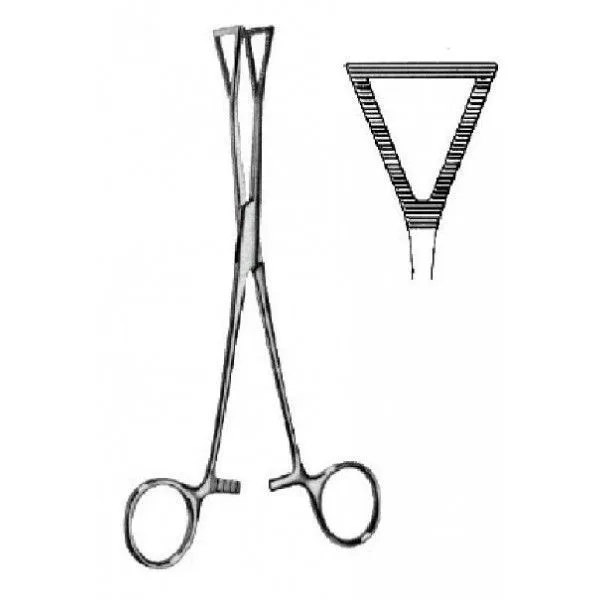 PINZA DUVAL COLLIN