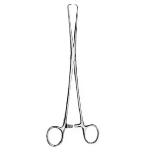 PINZA-ERINA-POZZI